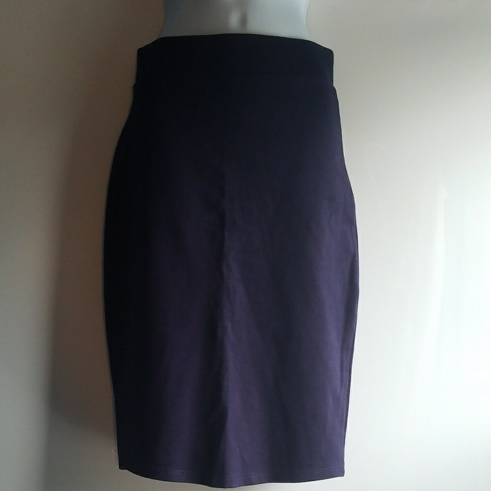 Spandex Skirt